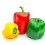 deeva-agro-exports-fresh-vegetables