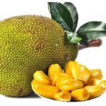 deeva-agro-exports-fresh-fruits